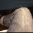 koller14's profile image