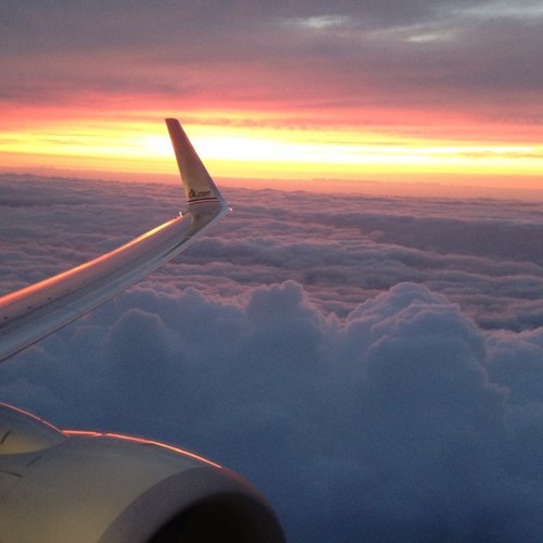 BonnieRiley4's profile picture. 