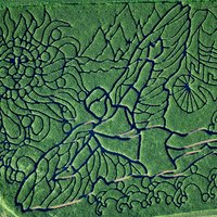 Treinen Farm (@treinenfarm) 's Twitter Profile