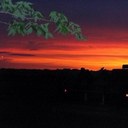 ella sue lynch - @ellasue39 - Twitter