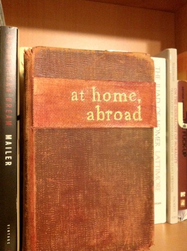 Information and news about Jade Rothman's novel At Home, Abroad