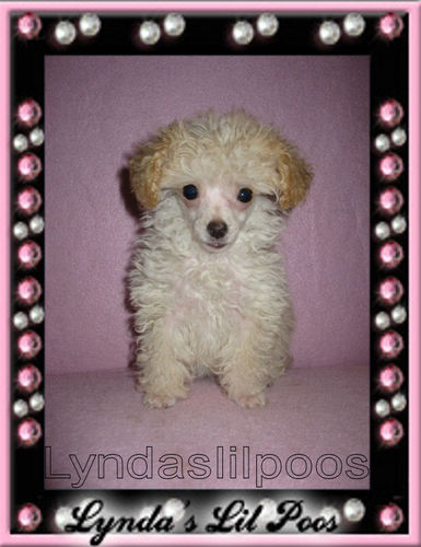 TRIXEY23's profile picture. 