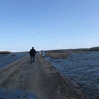 モーニングI上 (@carp_ojisann) 's Twitter Profile Photo