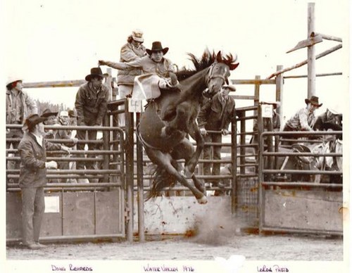 wagontrain79's profile picture. mule skinner