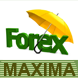 ForexMaxima.com offers Free Daily Trading Signal, Forex Essential, Real Time Quotes, Best Forex Metatrader Indicator, Portfolio, Streaming Charts, and more