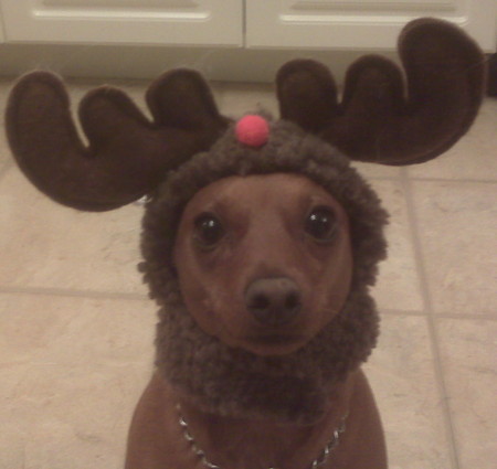 NozE8's profile picture. No I wasn't born in 1950...