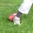 bearclaw0627's profile image