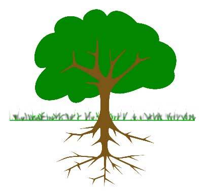 LandscapeReport's profile picture. Landscaping, gardening, plant nursery and horticulture information, news, trends and rumors.