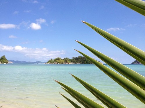 rlawrance27's profile picture. Sevenoaks based. House manger to 2. Married. Business owner- Spruce up Gardening . Tennis player and fan & ex- retail loss prevention specialist. AVFC fan.