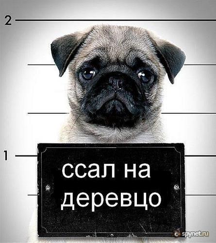 Sinfors's profile picture. Когда ты садишься играть за стол с дьяволом, ты уже играешь на его стороне…