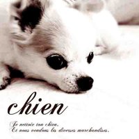 chien -シアン- (@chienblog) 's Twitter Profile