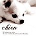 chien -シアン- (@chienblog) Twitter profile photo chien -シアン- (@chienblog) Twitter profile photo