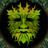 Jack In The Green (@hastingsjack) Twitter profile photo