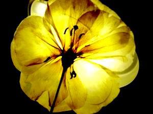 trofish1982's profile picture. 