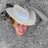 cigdemcetincam's profile image