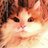Etikkatten's profile image
