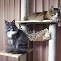 moomin-mama (@moominmama4) 's Twitter Profile Photo moomin-mama (@moominmama4) 's Twitter Profile Photo