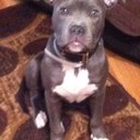 Wayne Merckling - @s10chevysmall - Twitter