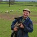 Lovesome Hill Farm (@lovesomehill) Twitter profile photo