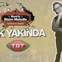 Mark Petrovich - @Mark_Petrovich - Twitter