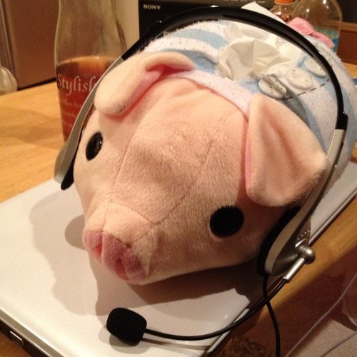 ryukobashi's profile picture. 面倒なことが嫌いなので面倒な絡み方をしないで下さい。とか言うと痛い子扱いされそう。でも本心だから許してちょーだい。