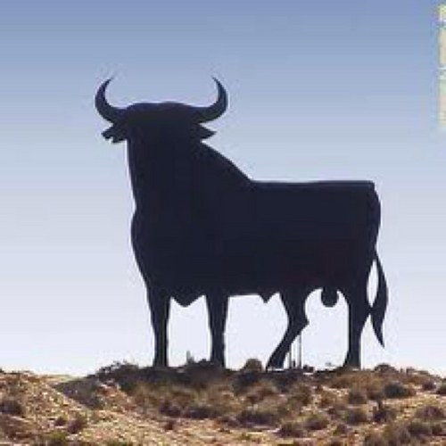 bull1512's profile picture. 