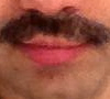 bigodedoalvarol's profile picture. sou feliz sem a barba!!!