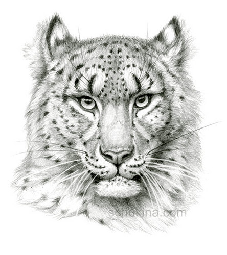 nataliagirona's profile picture. 