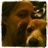 BigHenDog31911's profile image