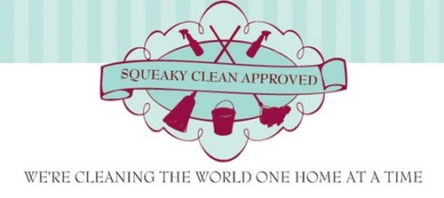 WE'RE CLEANING THE WORLD ONE HOUSE AT A TIME!