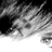tiggerlou's profile image