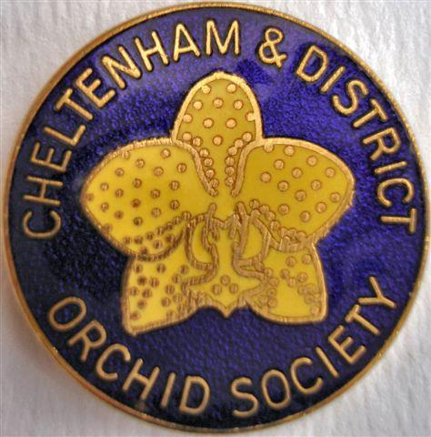 Member of the Cheltenham & District Orchid Society, a must for anyone interested in orchids in Gloucestershire and surrounding counties.