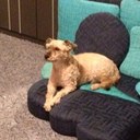 Rene Ludwig - @werki25 - Twitter