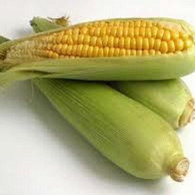 corndaily's profile image