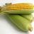 corndaily's profile image
