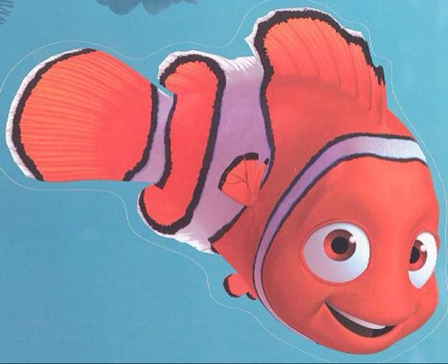 NemoSeaLife's profile picture. just keep tweeting, just keep tweeting, what do we do we tweet, tweet