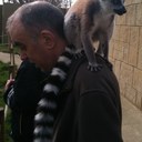 Kevin Brett - @KevBre - Twitter