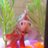 kinniku88's profile image