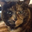 peter hutson - @fat_bob76 - Twitter