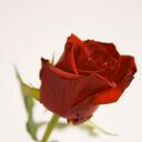 Kylie Holmes - @smileykylie00 - Twitter