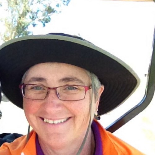 sandiegodaring's profile picture. Professional engineer passionate about rail transit and advancing women in transportation,