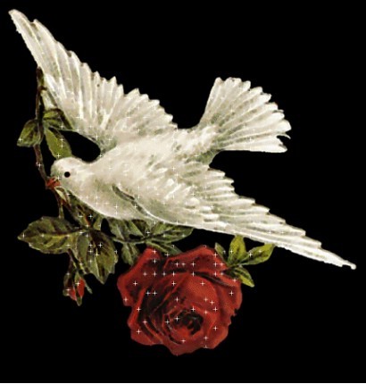 473023's profile picture. ‏‏مهندس الكترونيات 
سنة رابعة تربية احياء