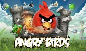 the real angry birds