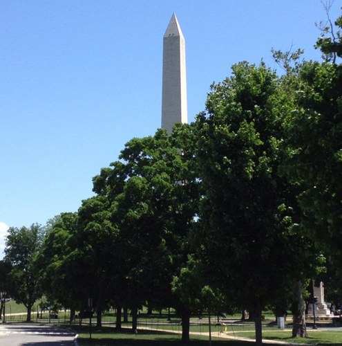 wise_5's profile picture. 