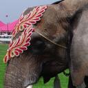 Patrick Adam - @Bovol - Twitter