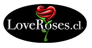 LoveRoses, Rosas del Ecuador, Arreglos Florales, Eventos. loveroses.cl