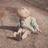 DalbyLucy's profile image