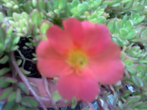 mc_cita's profile picture. 