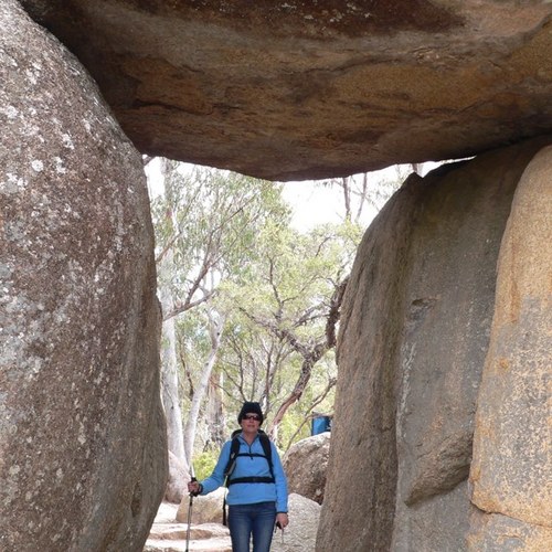 myyip's profile picture. 