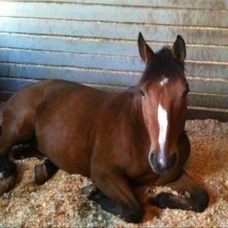 jheasterling's profile picture. 